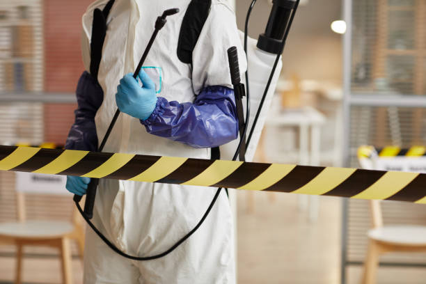 Professional Sewage Cleanup technician working in Encino, TX